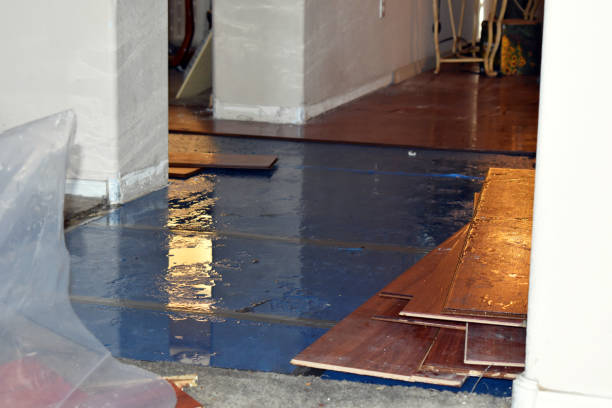 Professional Sewage Cleanup technician working in Decatur, IL